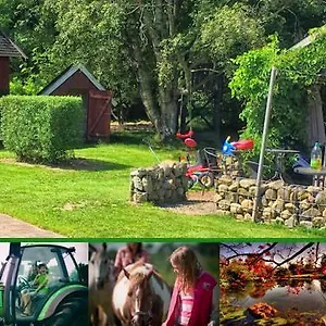  Lantgård Stutteri Skandihest